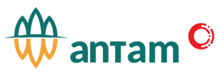 Media Partner